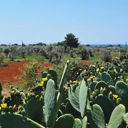 Campure Tra E Mare By Apulia *